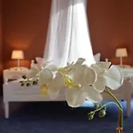 Хотел щерев *
