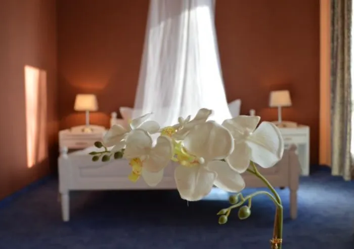 Хотел щерев *